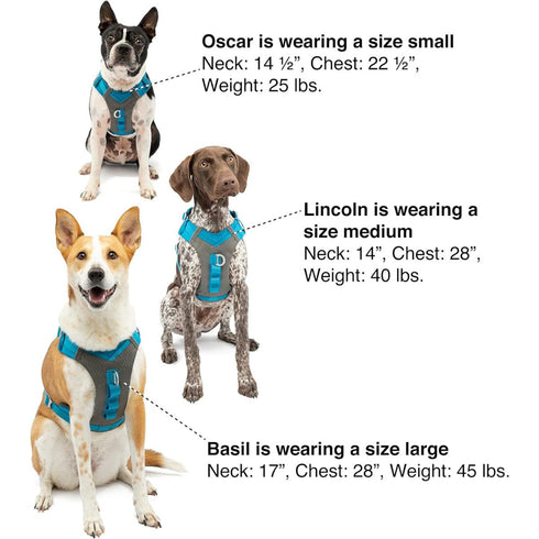 Kurgo Journey Air Dog Harness Purple Medium - Poudre Pet & Feed Supply 6